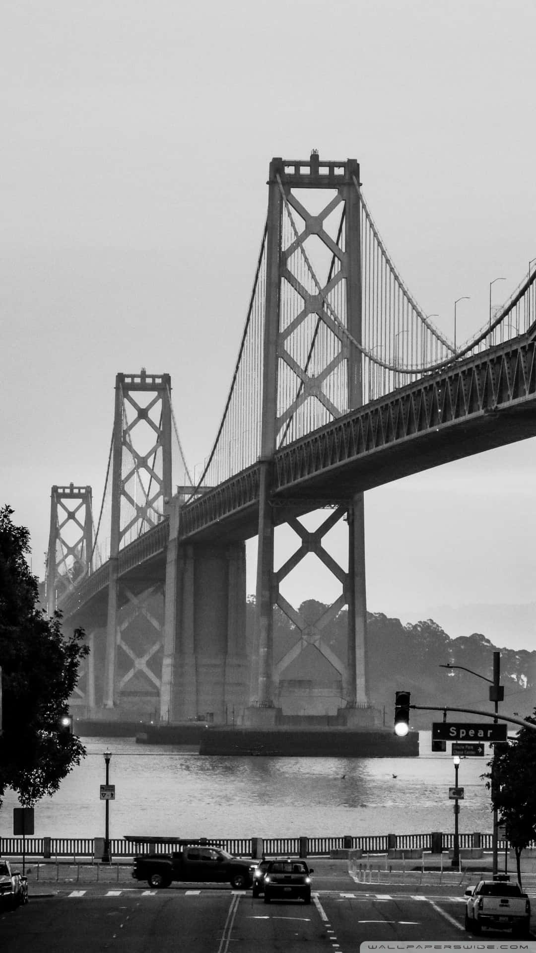 San Francisco Body Black And White