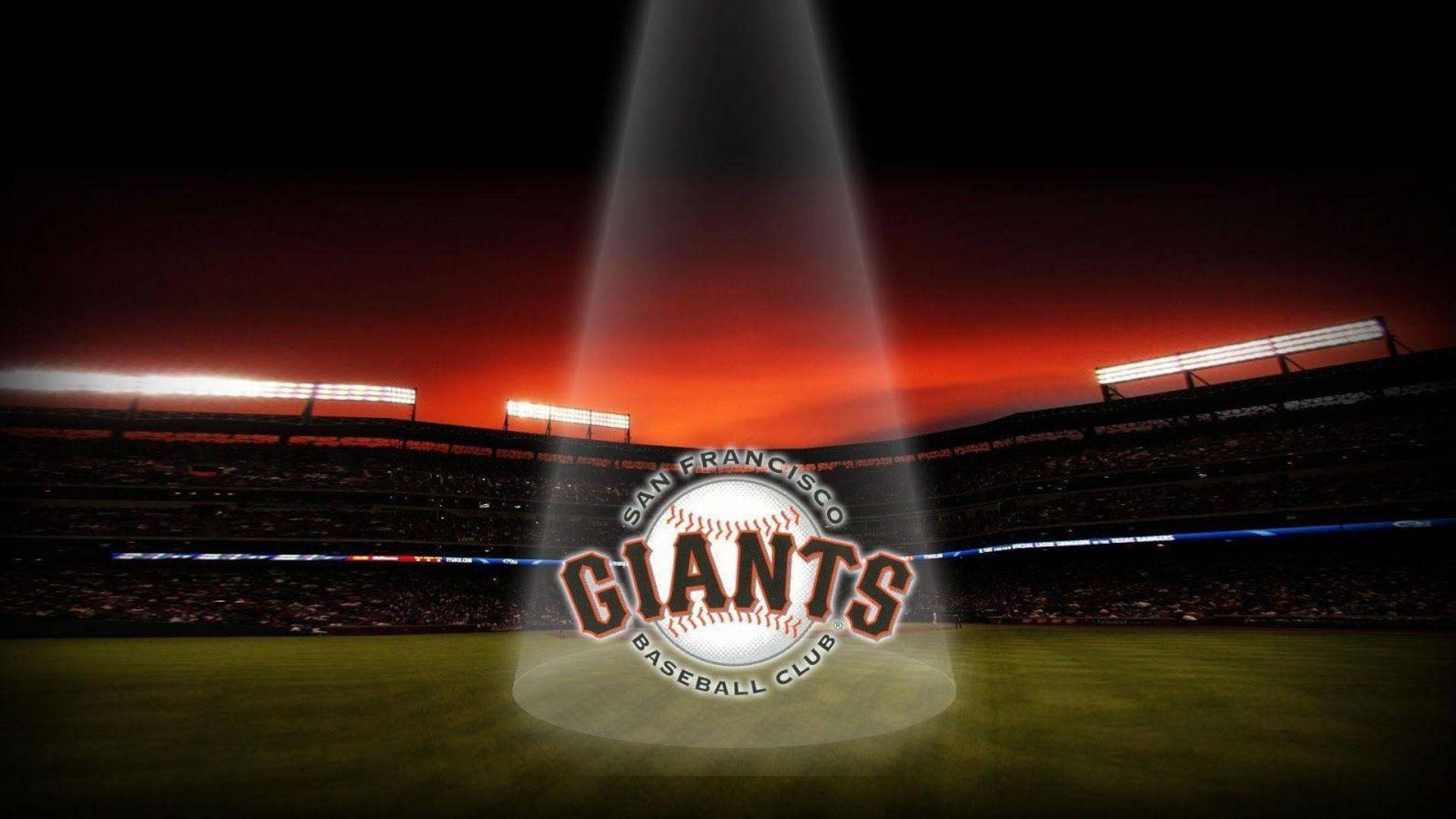 San Francisco Giants Baseball Spotlight