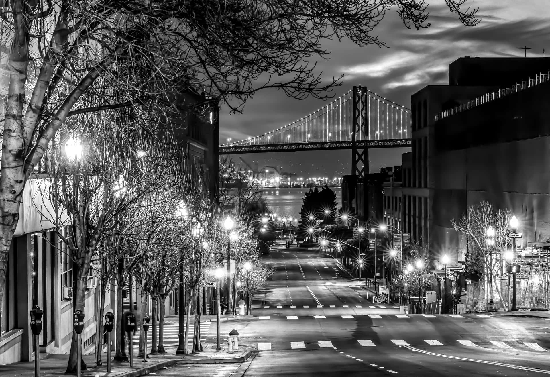 San Francisco Lamp Black And White