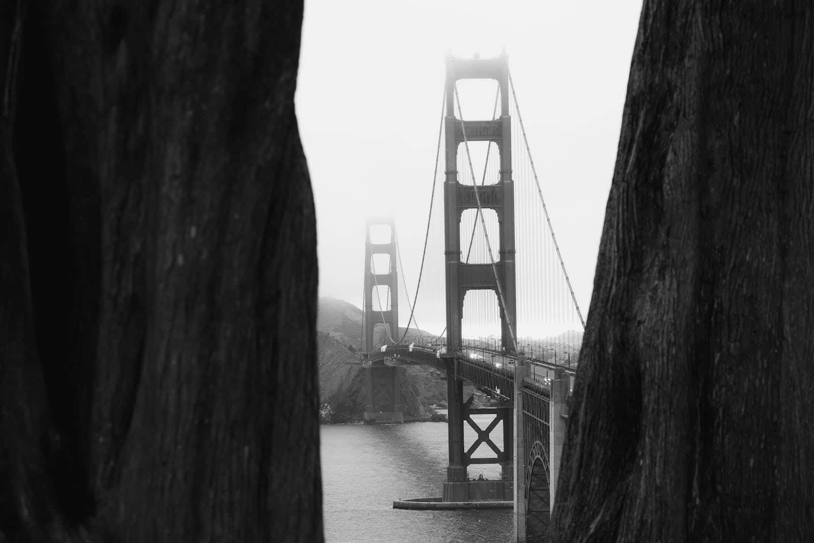 San Francisco's Iconic Fog Rolling Over The Golden Gate Bridge Background