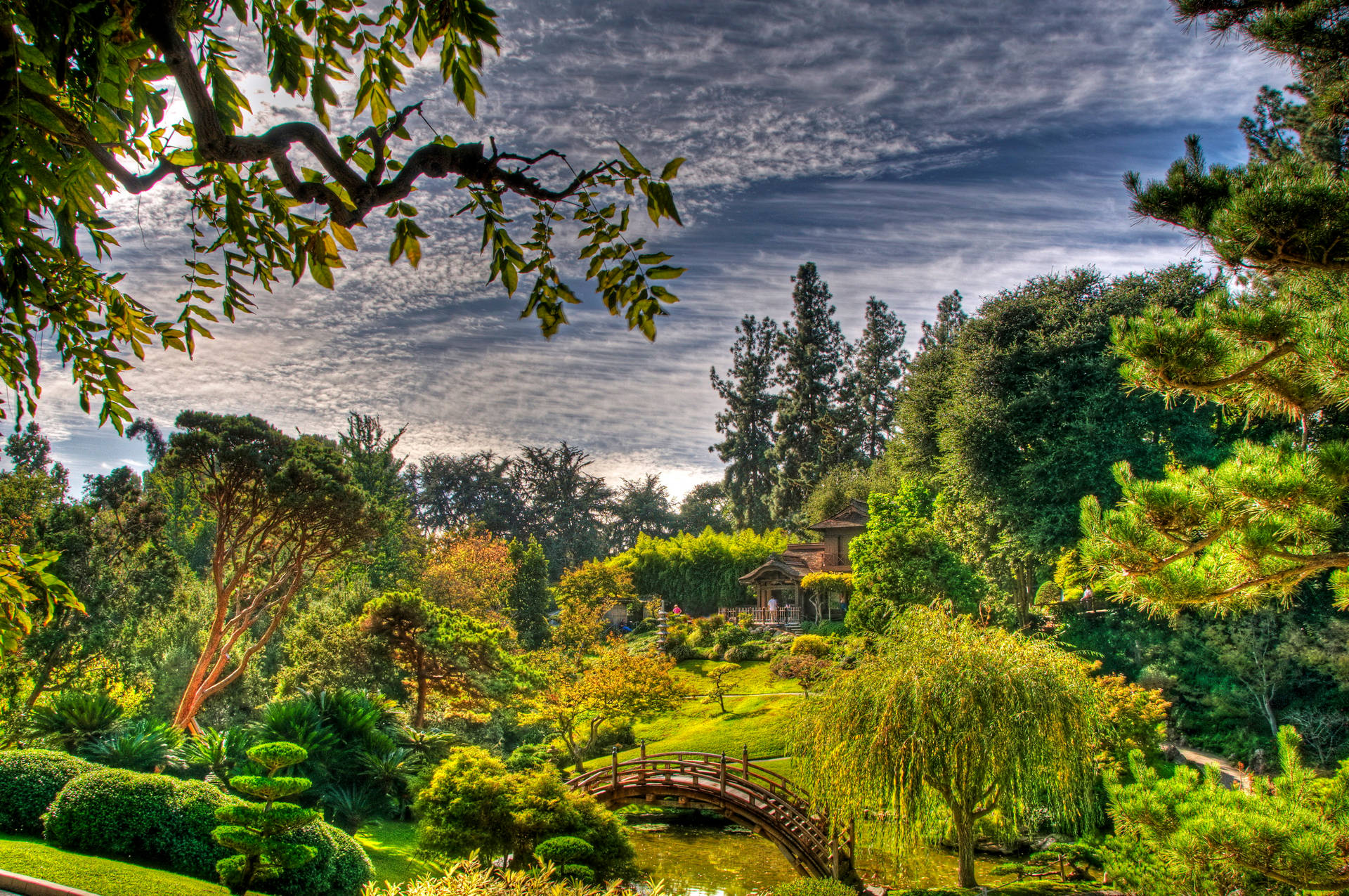 San Marino Beautiful Botanical Garden Background