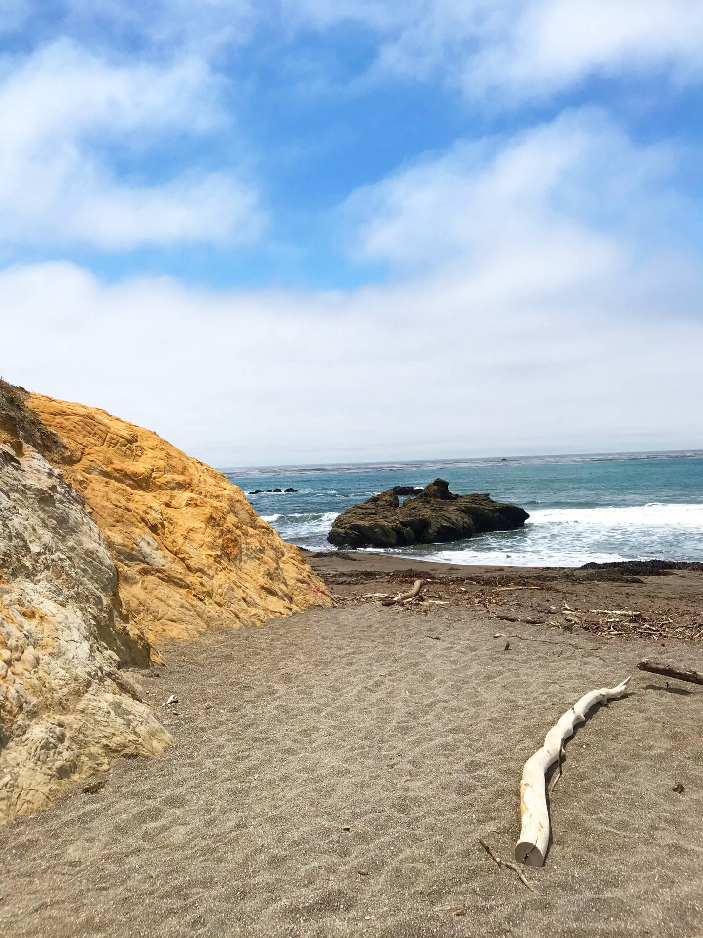 San Simeon Beach Driftwood Background