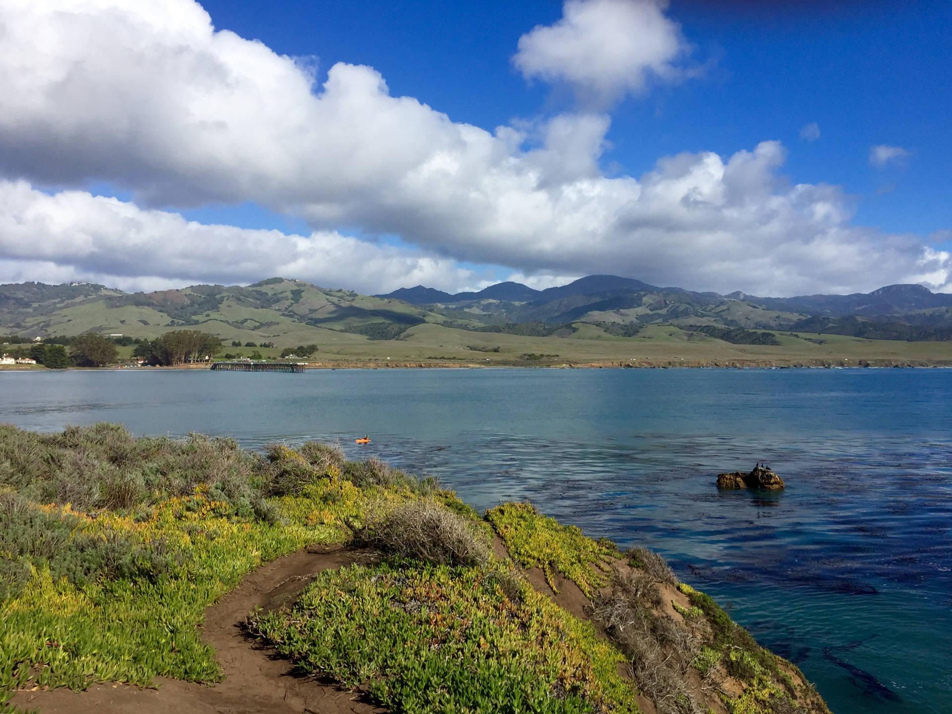 San Simeon Cliff Side Background