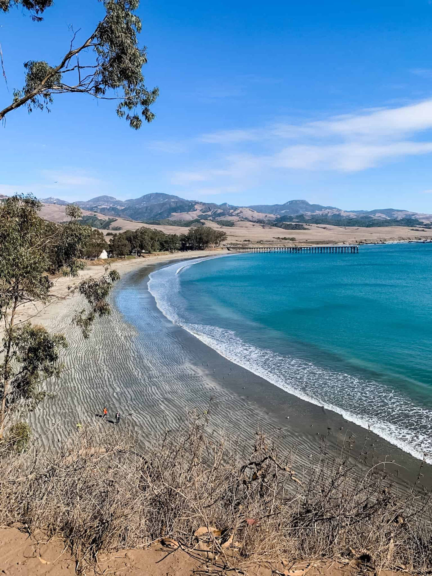 San Simeon Curved Shore Background