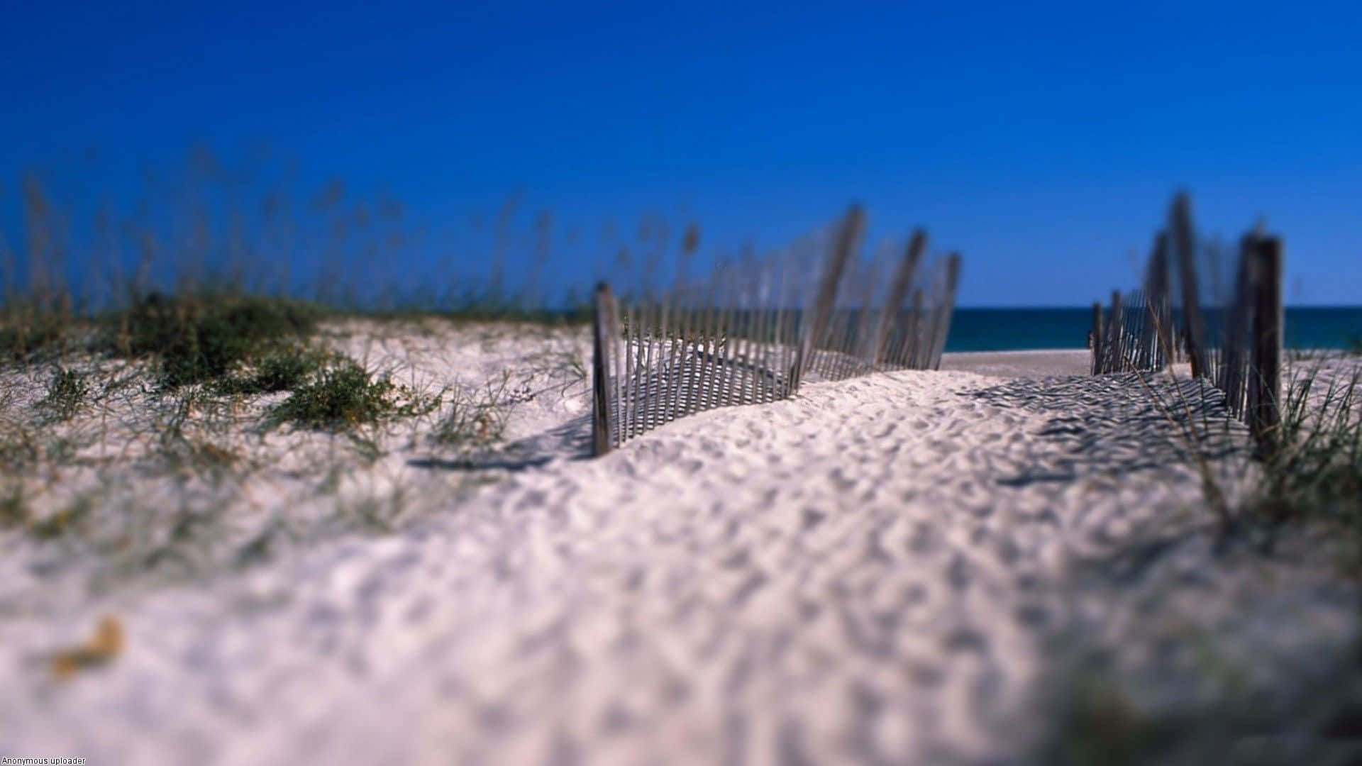 Sand Beach New England Summer Background