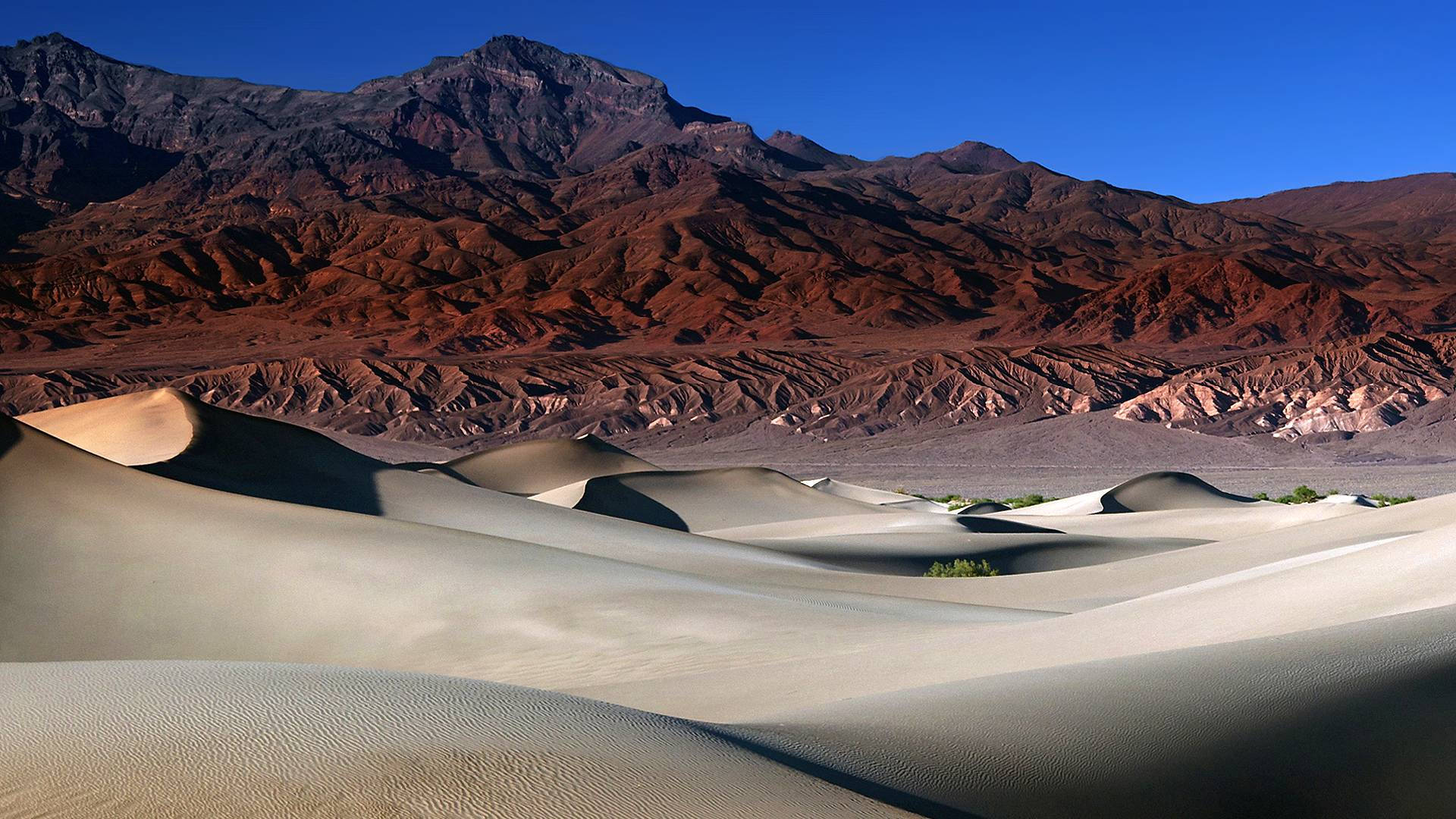 Sand Dunes Death Valley