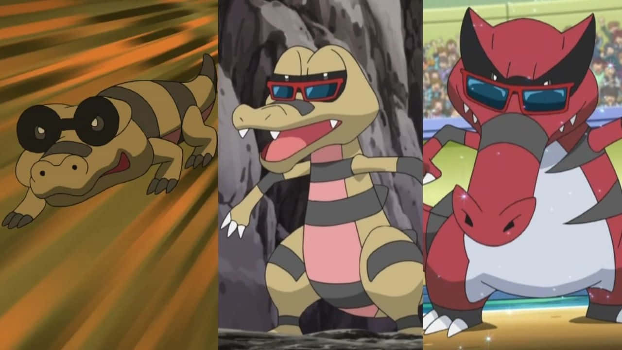 Sandile In Sunglasses Evolution Line Background