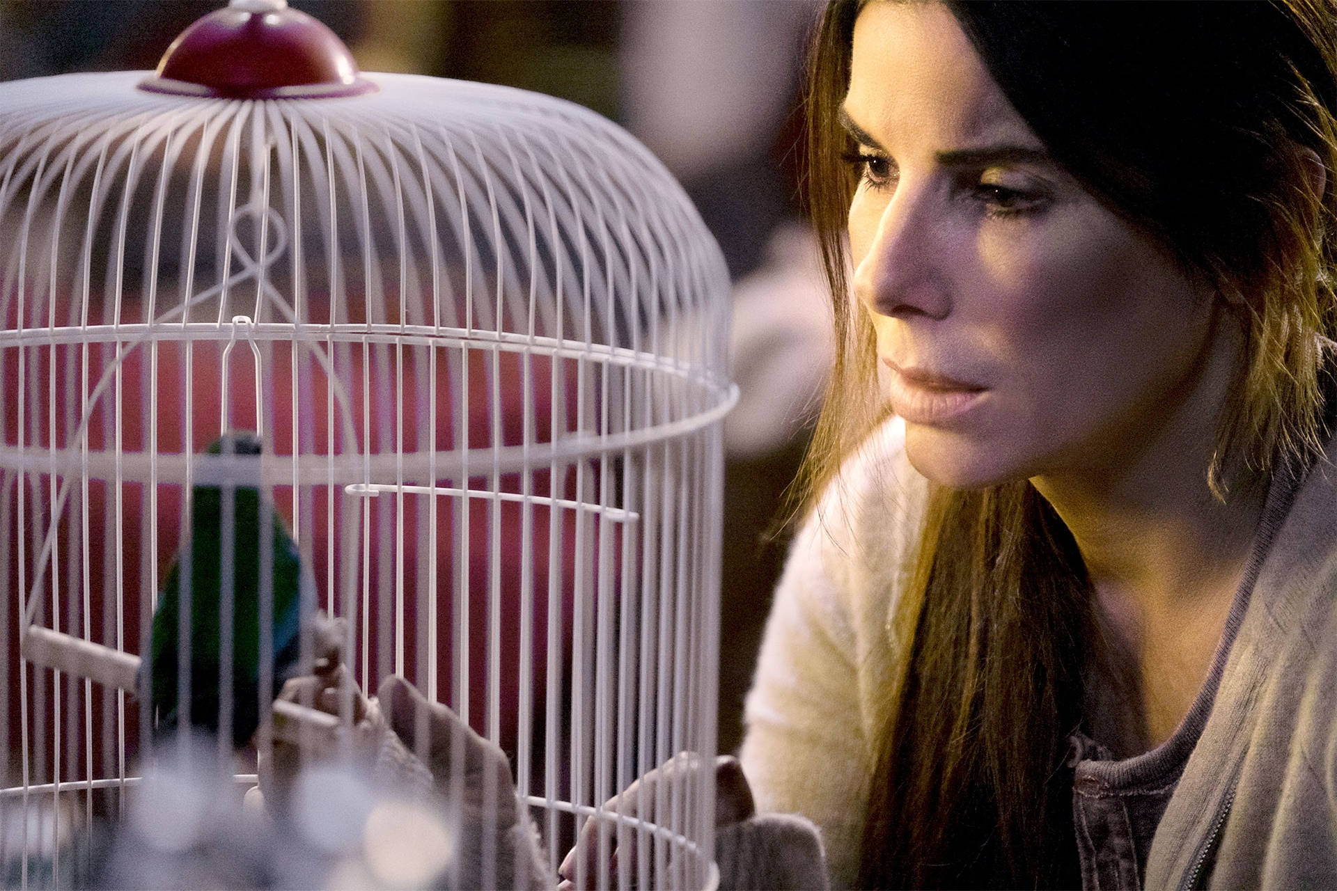 Sandra Bullock Staring At Bird Cage Background
