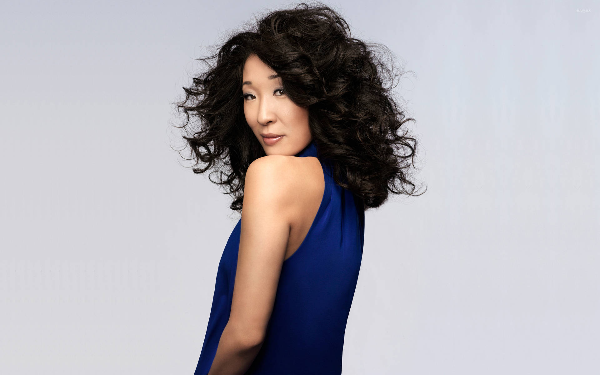 Sandra Oh Governor General's Performing Arts Background