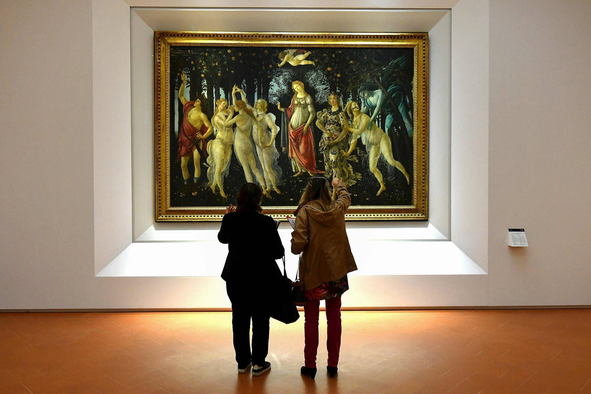 Sandro Botticelli Painting Uffizi Gallery Background