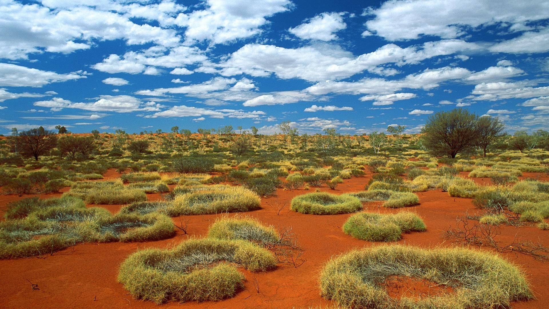 Sandy Australian Outback Background