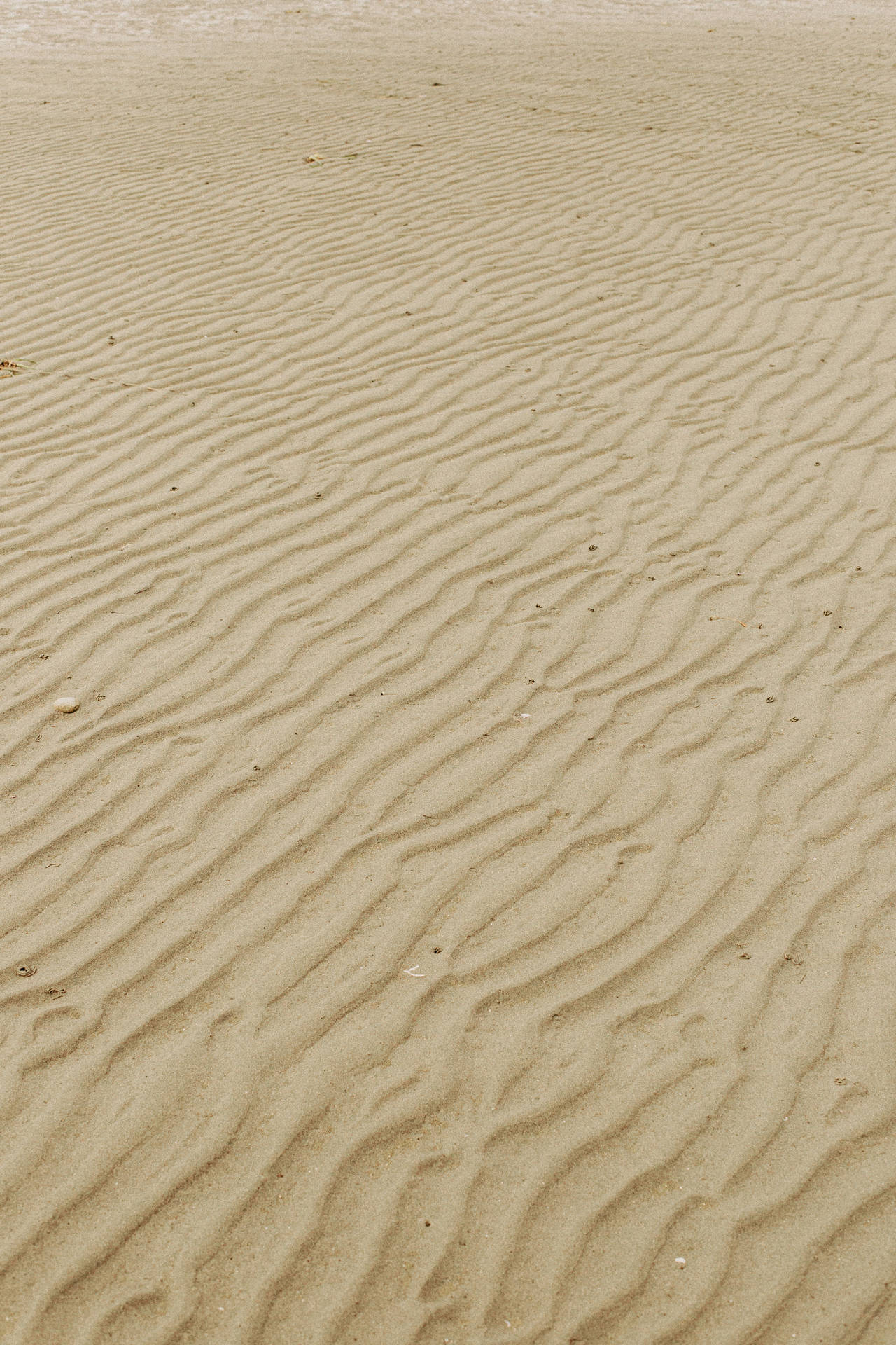 Sandy Beach Iphone Background
