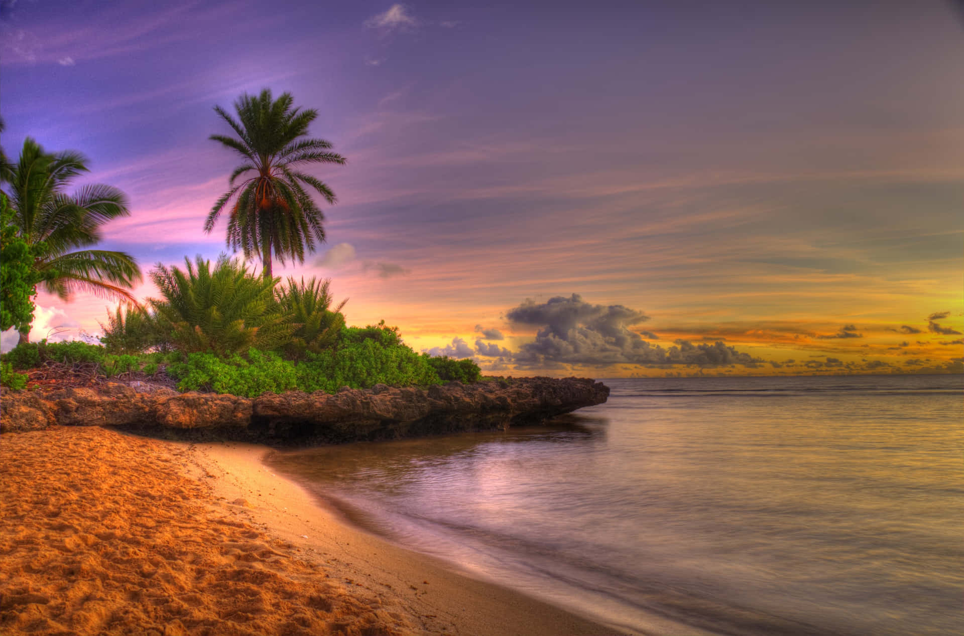 Sandy Beach Sunset Palm Hd Background