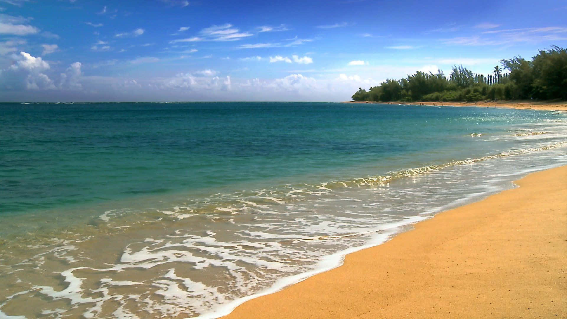 Sandy Beach Waves Hawaii Aesthetic Background