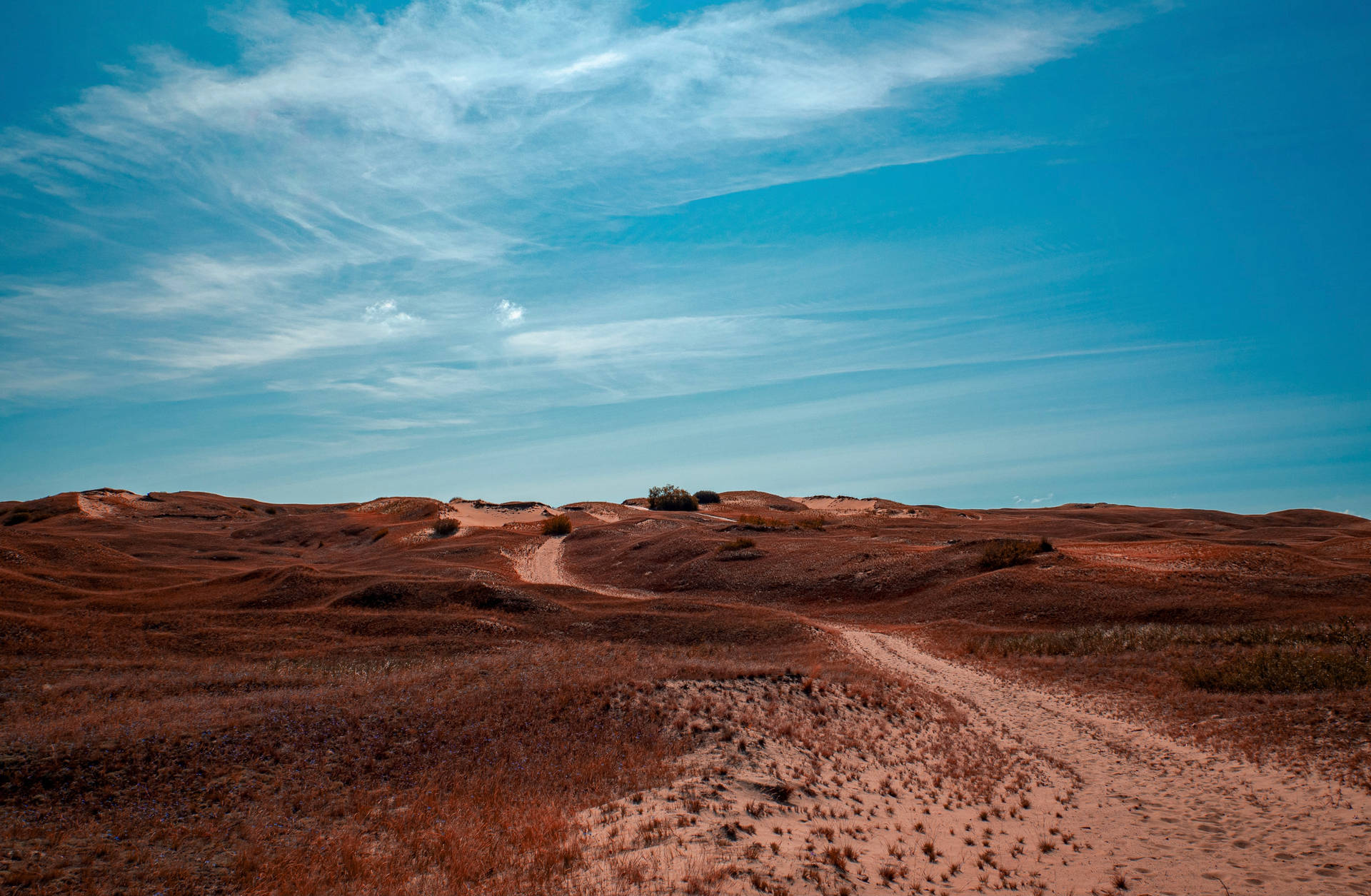 Sandy Dirt Road In Lithuania Background