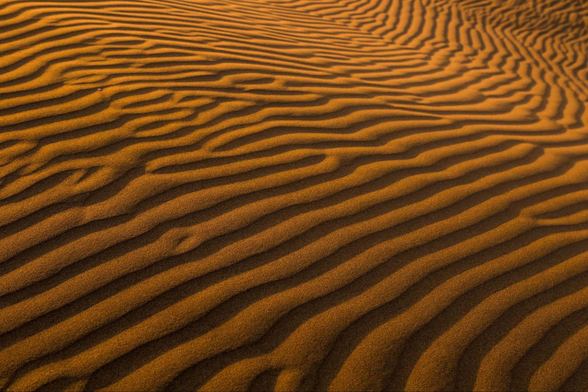 Sandy's Majestic Skyscape Background