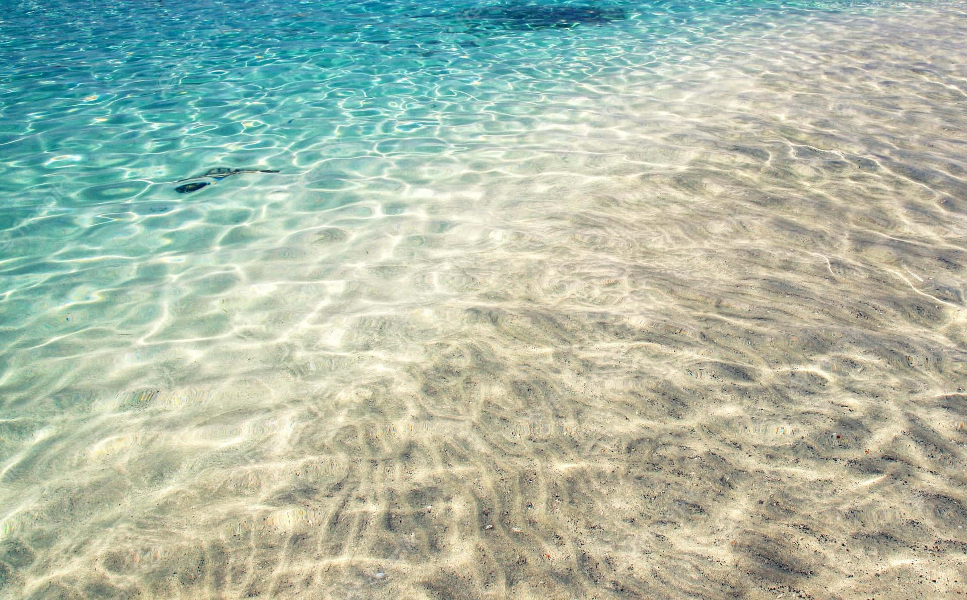 Sandy Shallow Shore Background