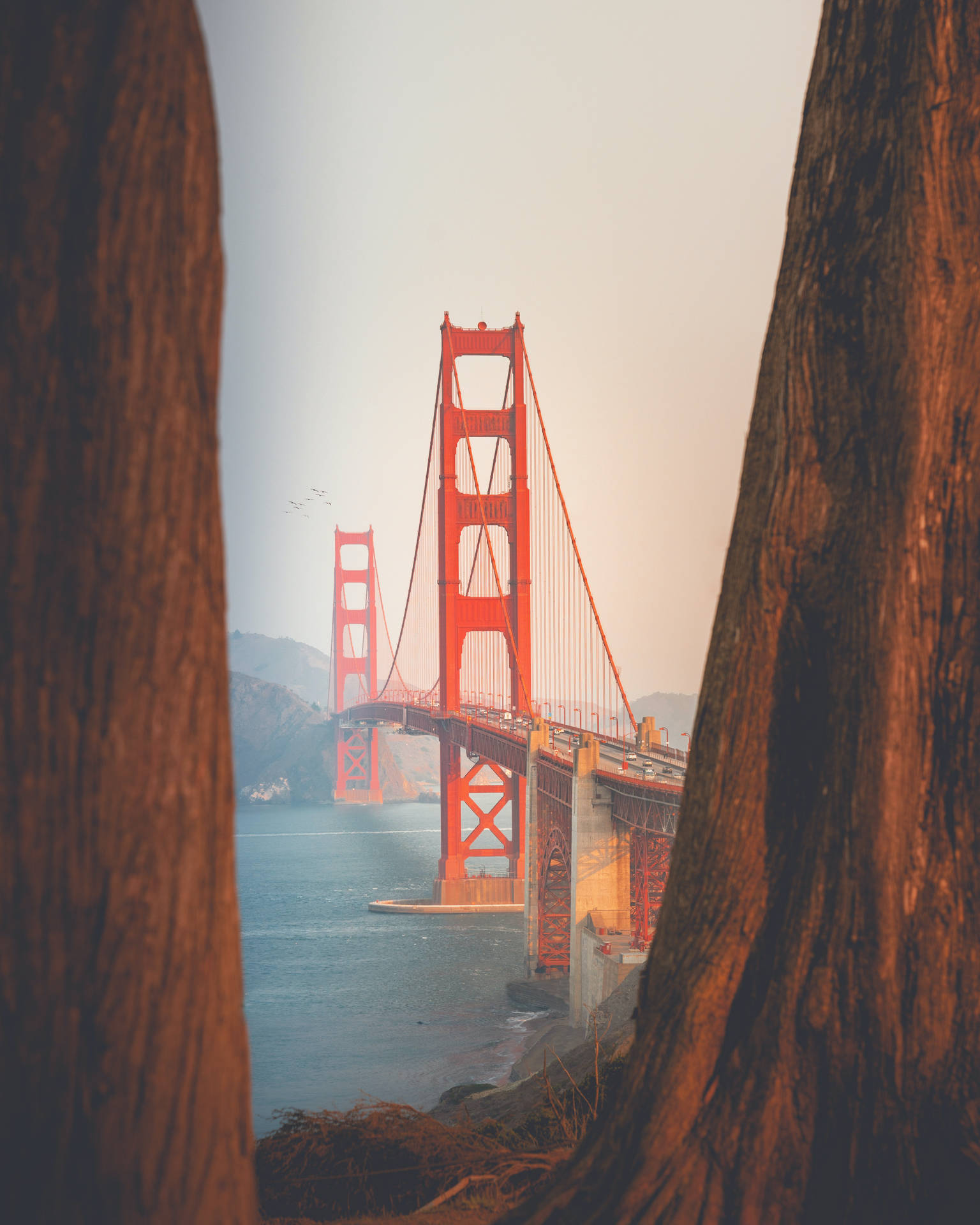 Sanfran Scenery For Iphone Screens Background