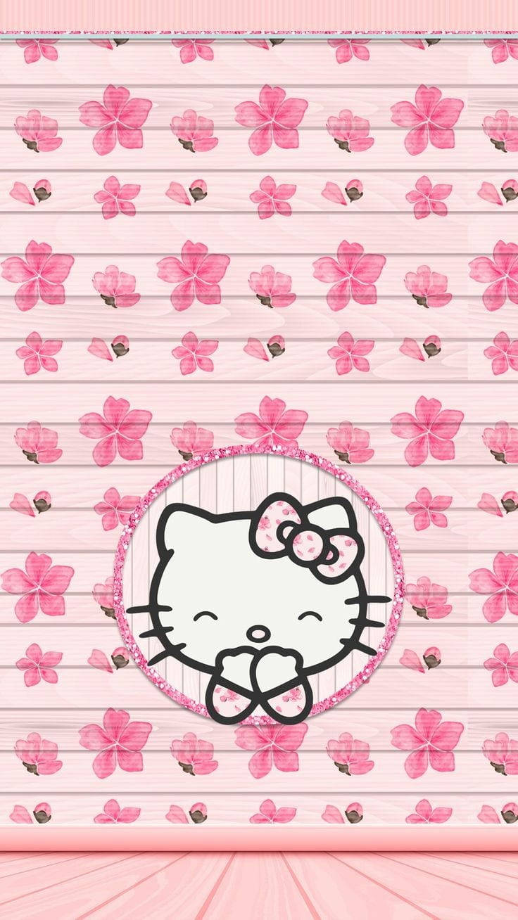 Sanrio Character Kitty White Background