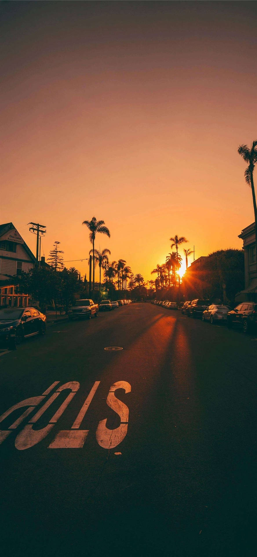 Santa Monica Sunset Road Background