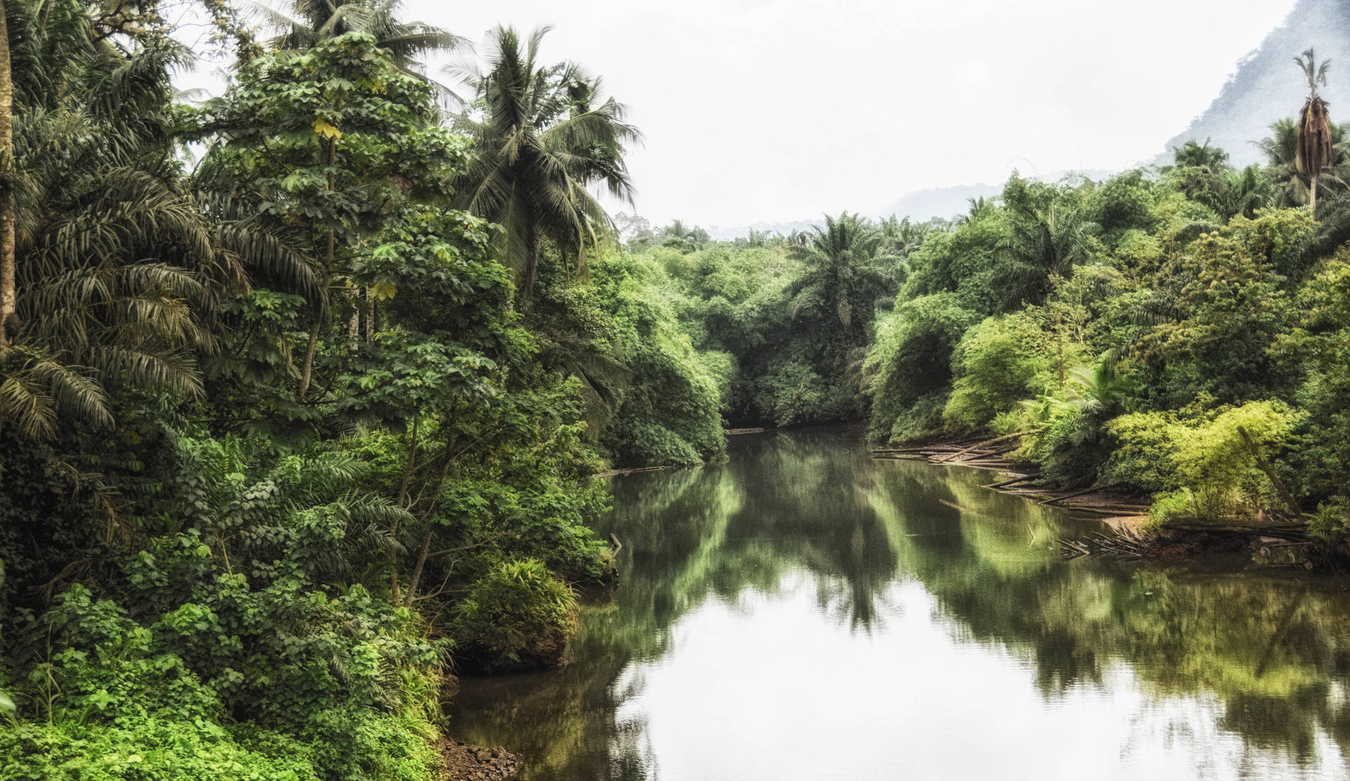 Sao Tome And Principe Forest Lake