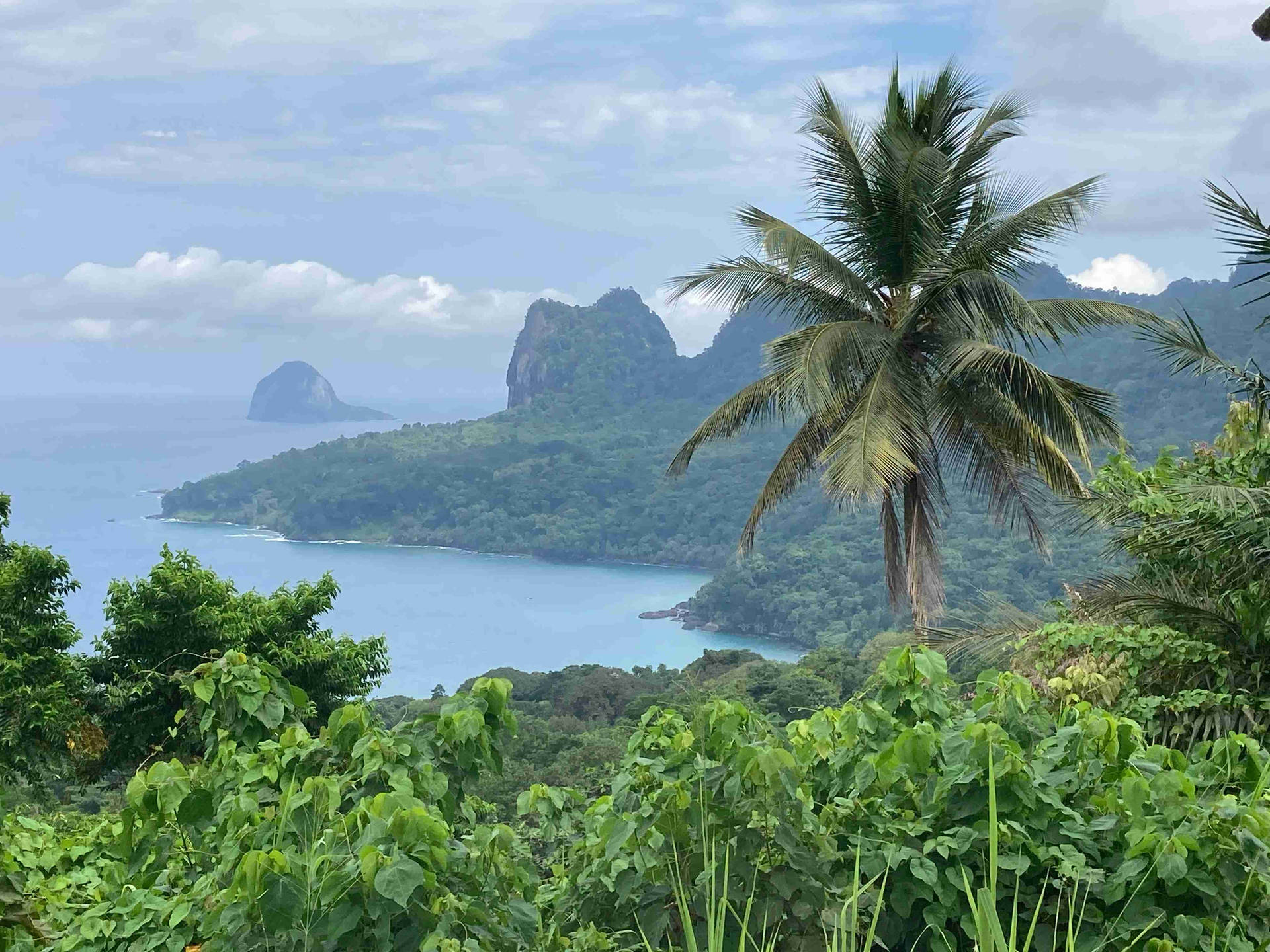 Sao Tome And Principe Island Top-angle Shot Background