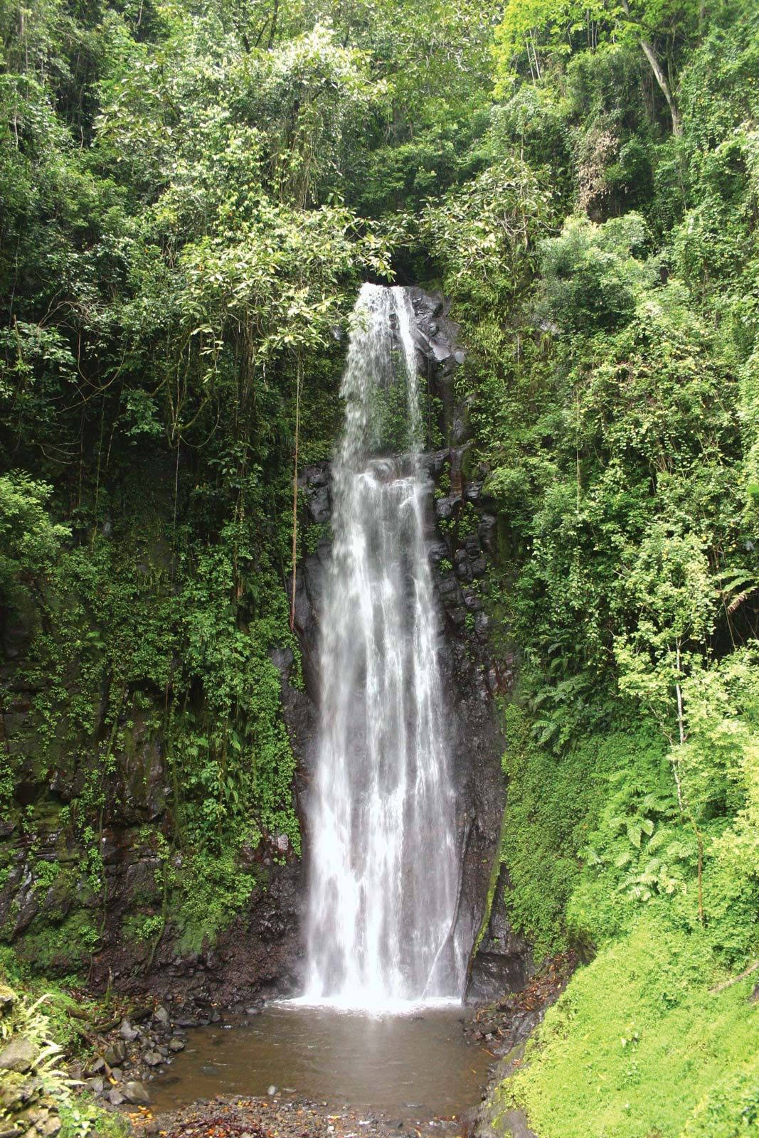 Sao Tome And Principe Waterfalls Background