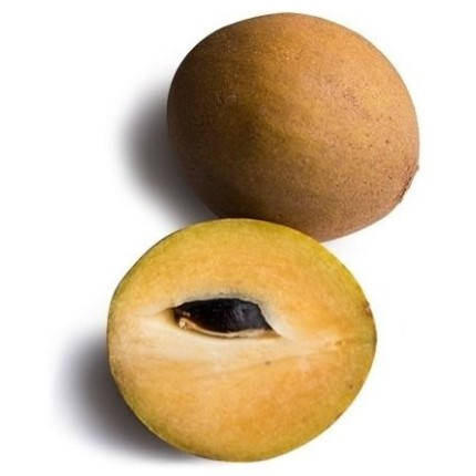 Sapodilla Fruits Shadow Background