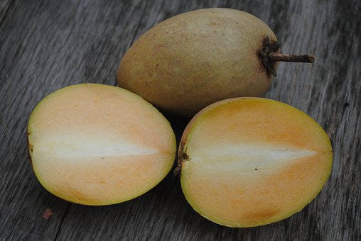 Sapodilla Fruits Wooden Table Background