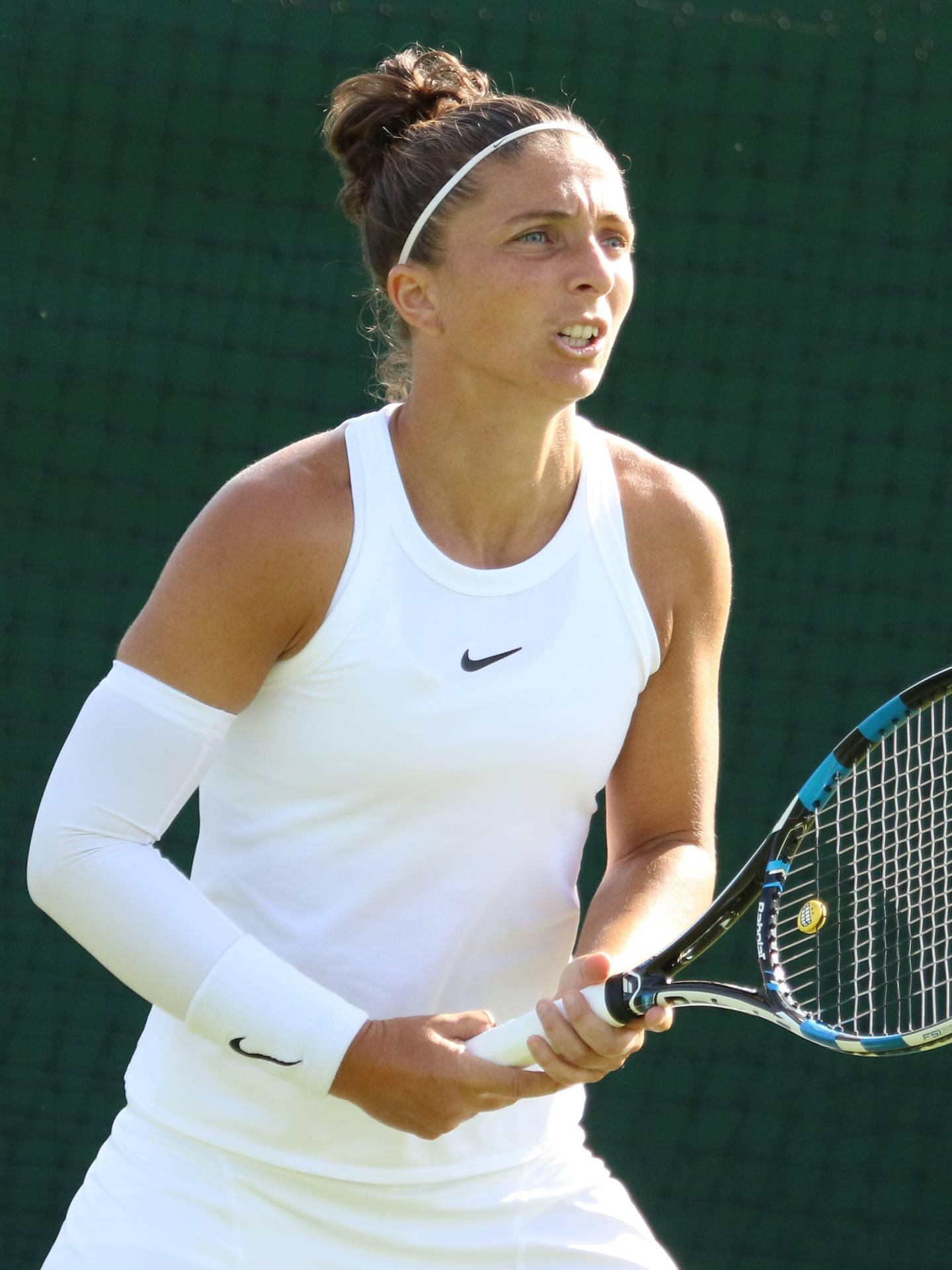 Sara Errani Focused Expression Background