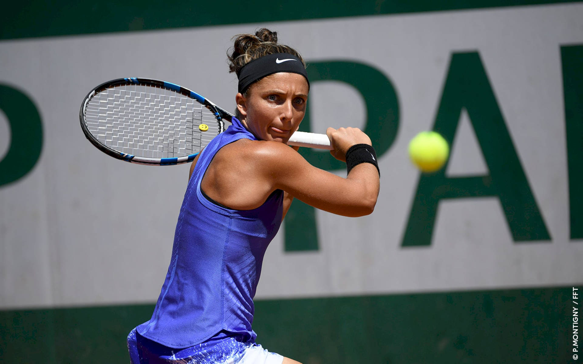 Sara Errani Sharp Expression Background