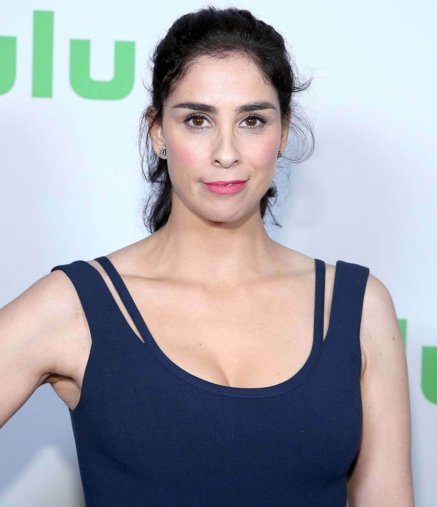 Sarah Silverman 1500 X 1740 Wallpaper Background