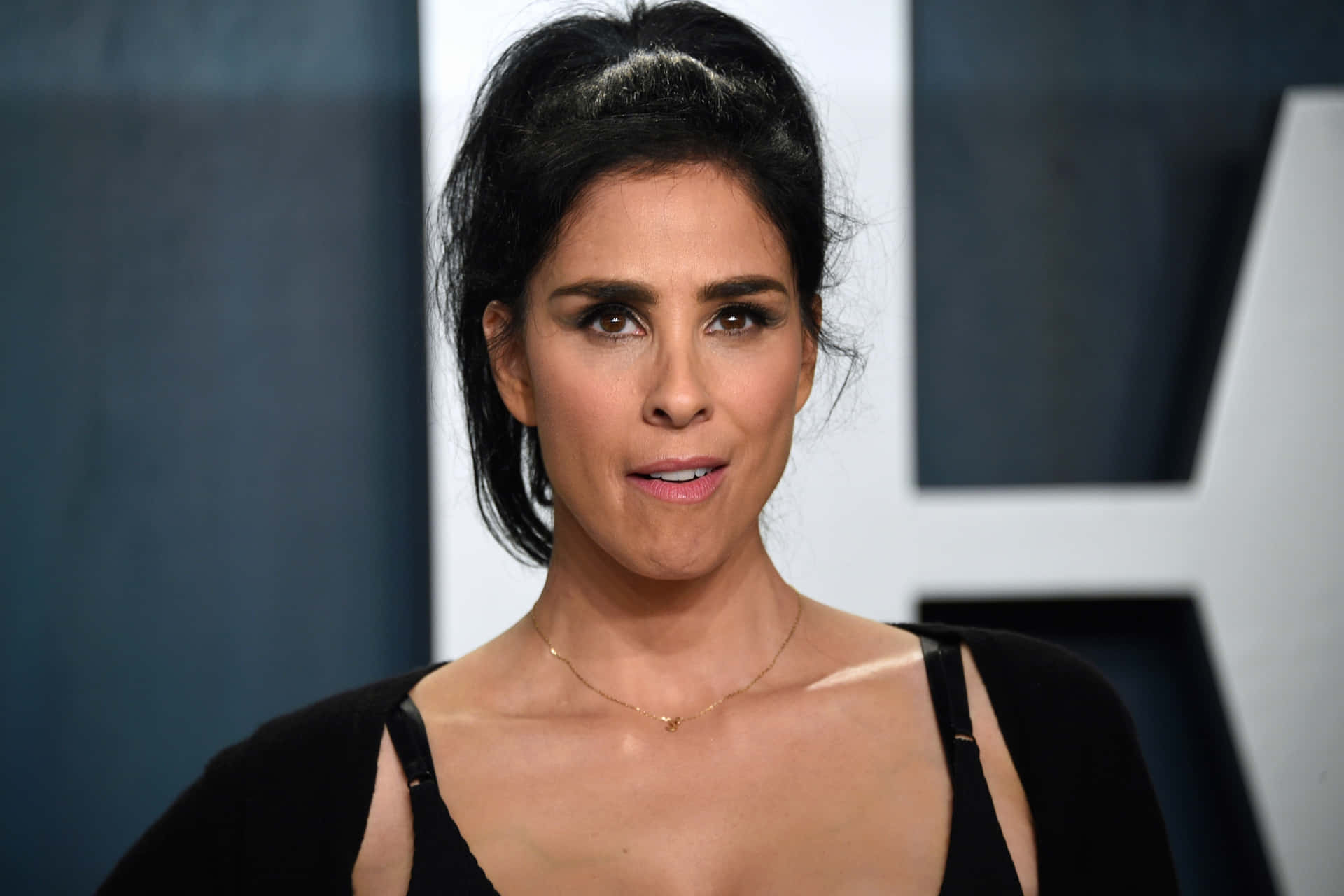 Sarah Silverman Posing In A Vibrant Dress Background