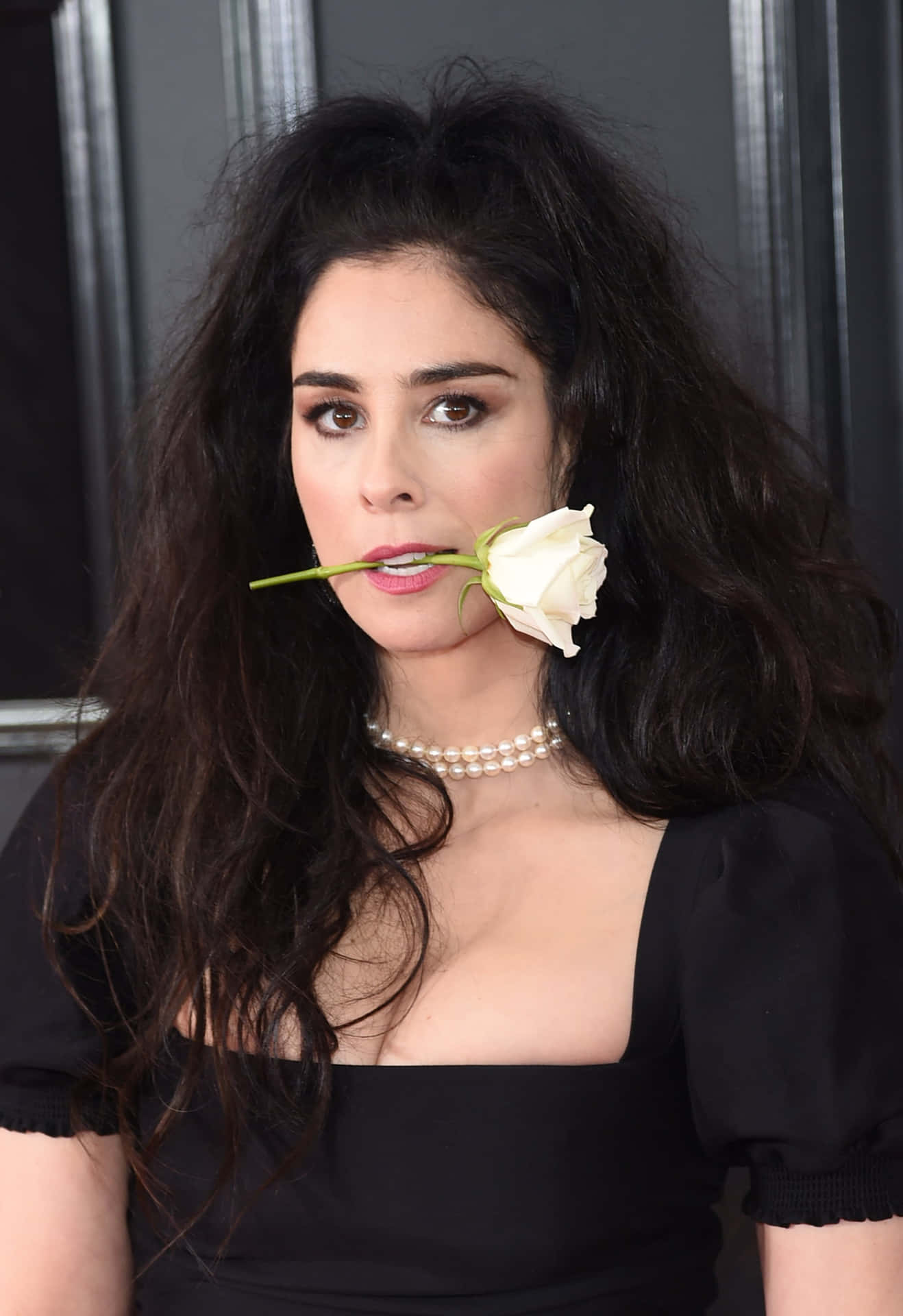 Sarah Silverman Smiling At A Photoshoot Background