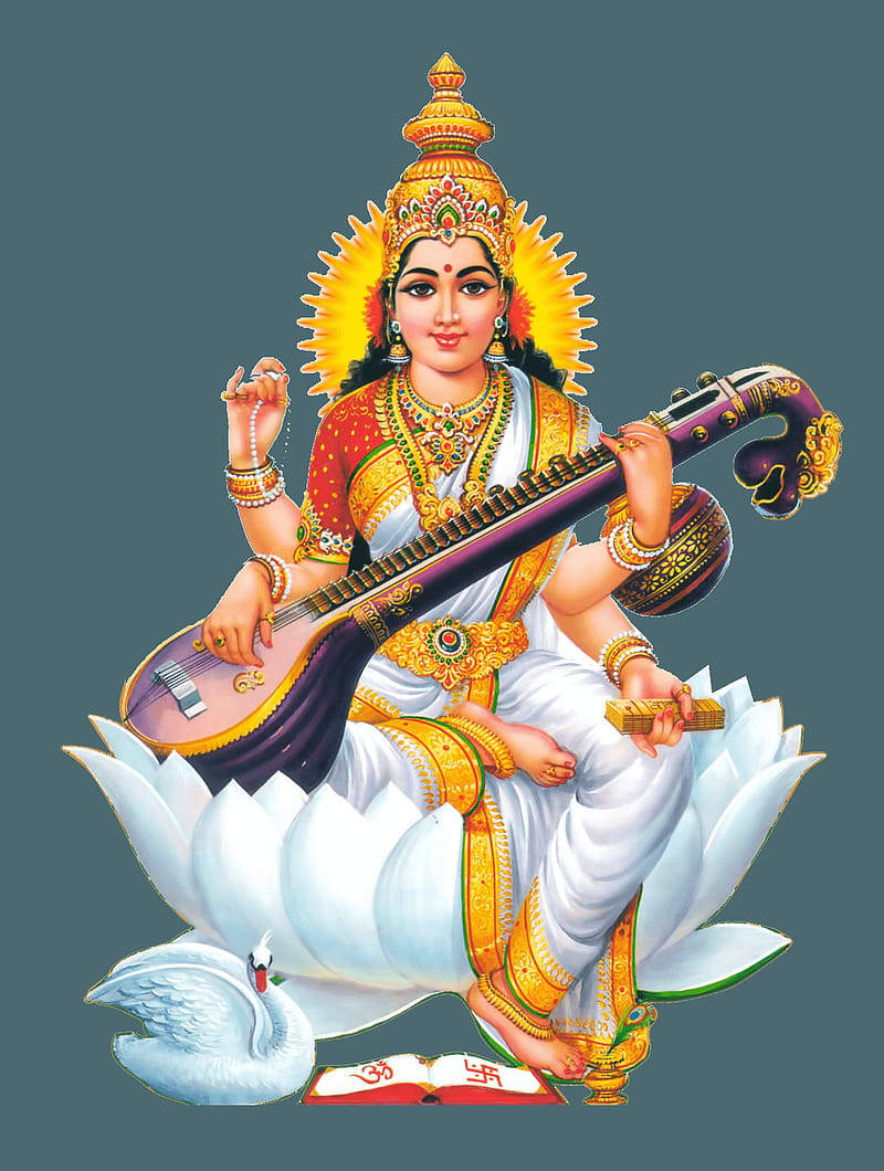 Saraswati Gray Portrait Background