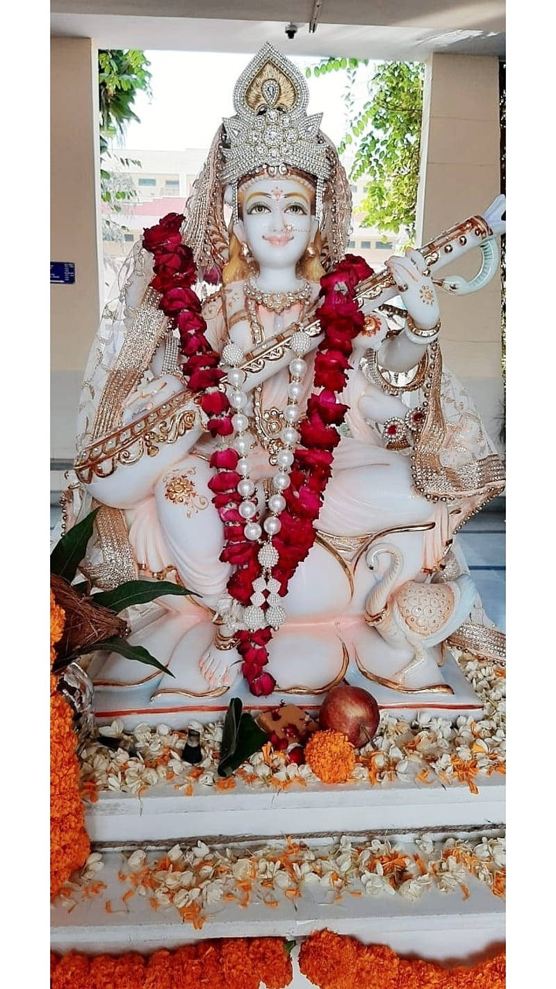 Saraswati Mata White Statue Background