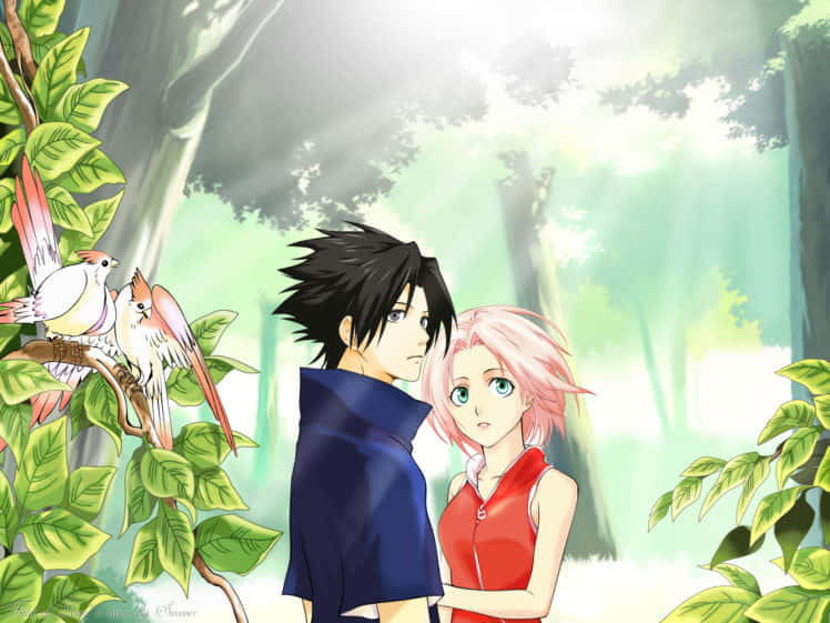 Sasuke And Sakura, Two Longtime Friends Destined For Greatness Background