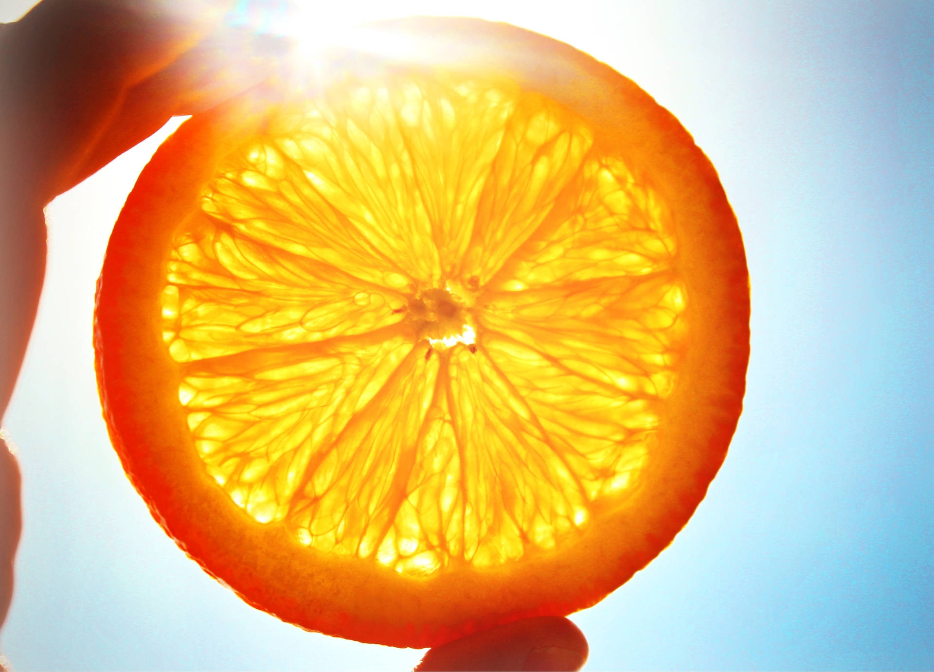 Satsuma Mandarin Against The Sun Background