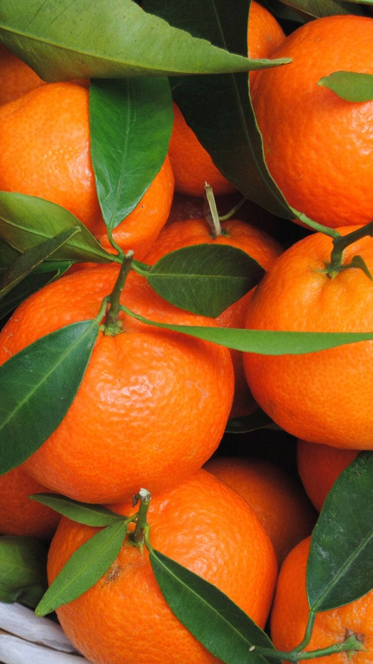 Satsuma Mandarin Fruit Background