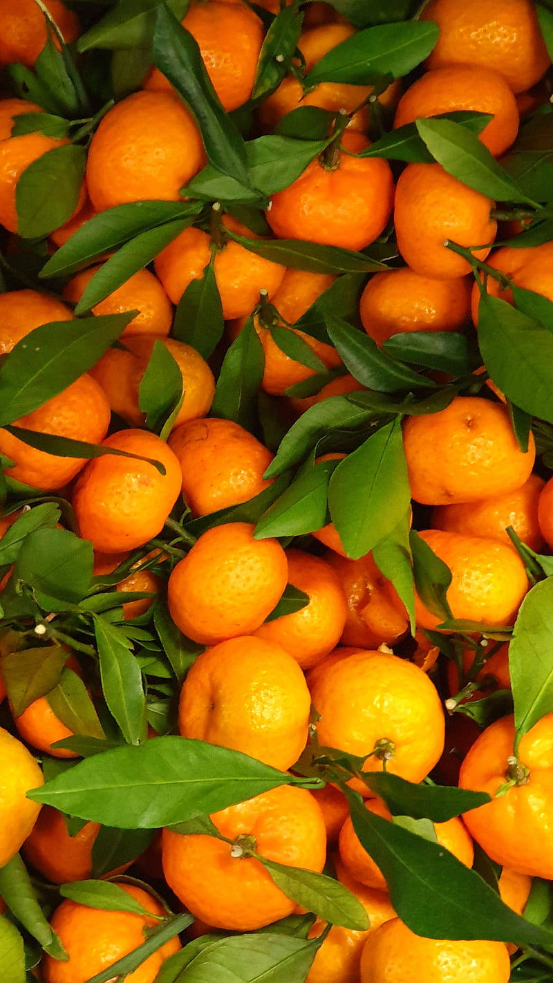 Satsuma Mandarin Sweet Orange Fruit Background