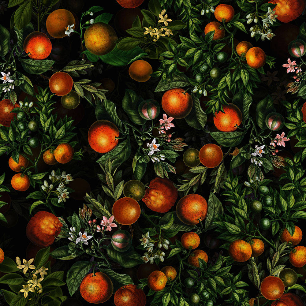 Satsuma Mandarins Vector Artwork Background