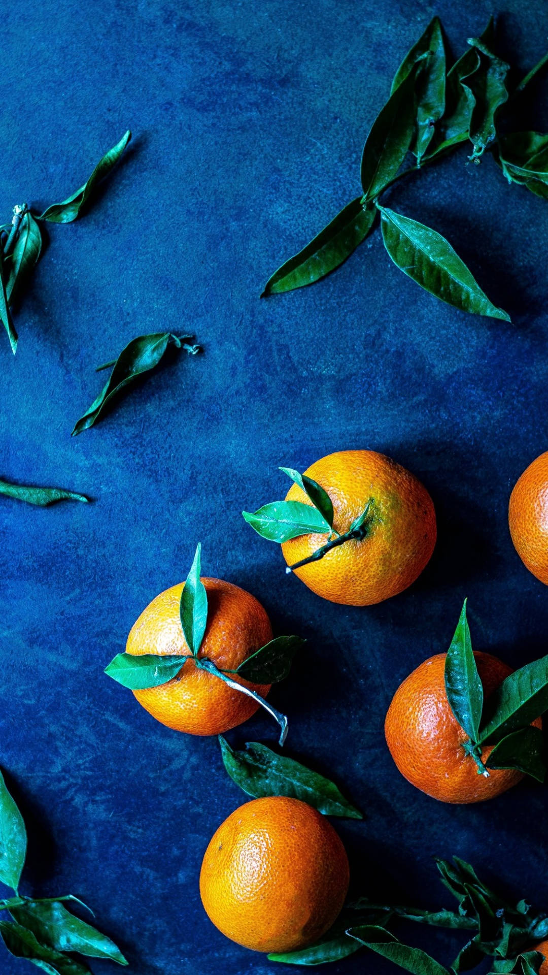 Satsuma Mandarins Wilted Leaves Background