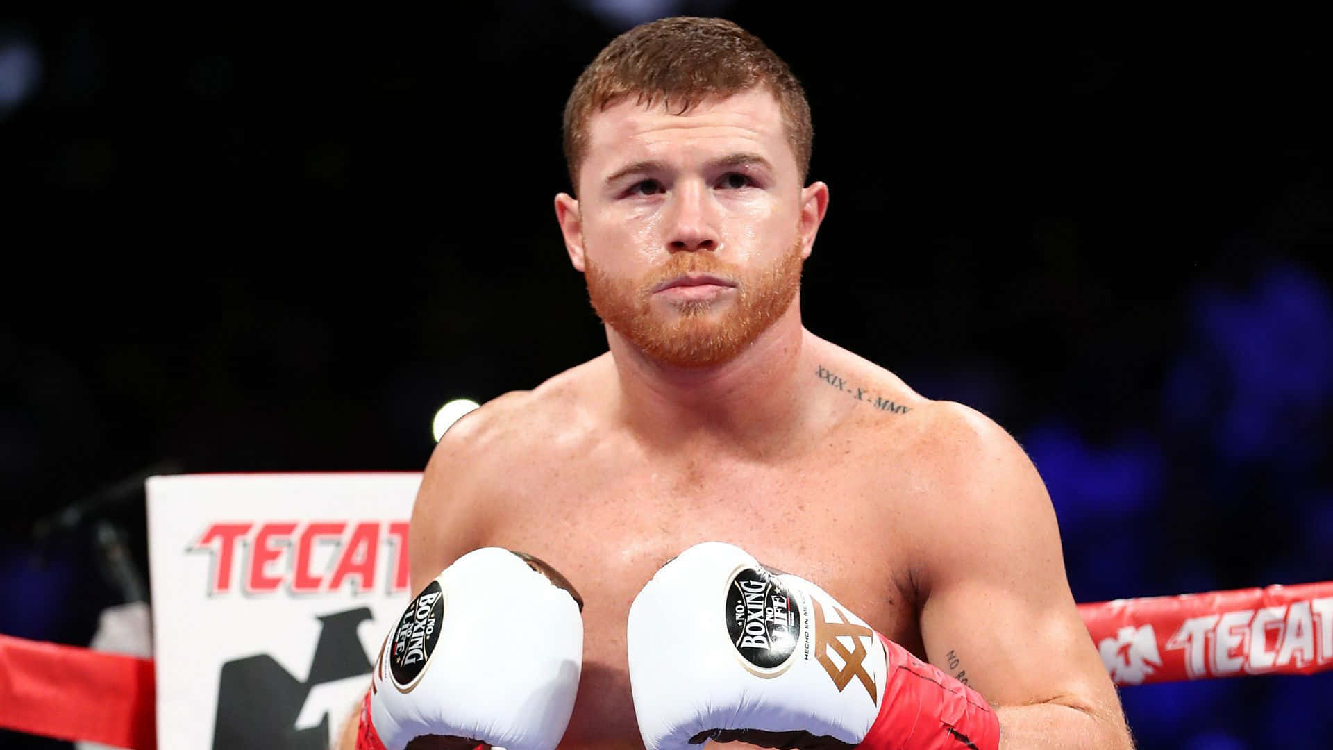 Saul 'canelo' Alvarez's Pristine White Boxing Gloves Background