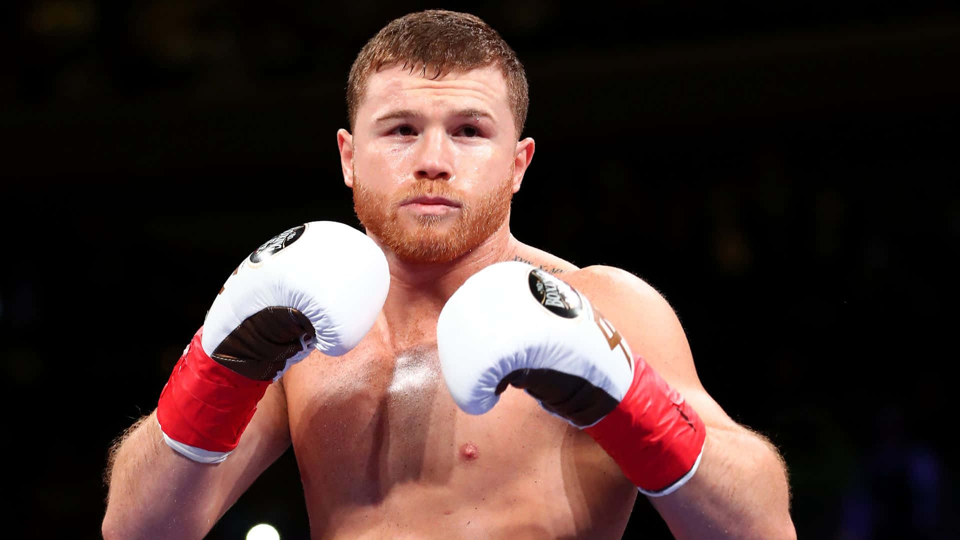 Saul 'canelo' Alvarez's Signature White Boxing Gloves