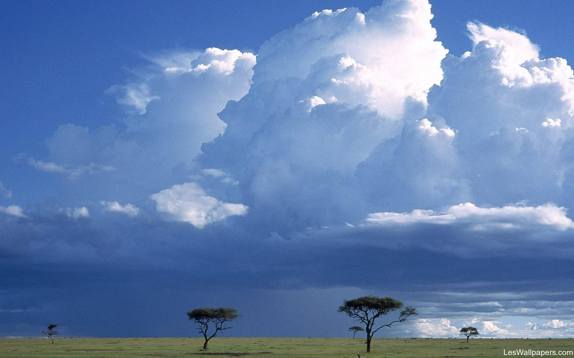 Savanna Nature Kenya Background