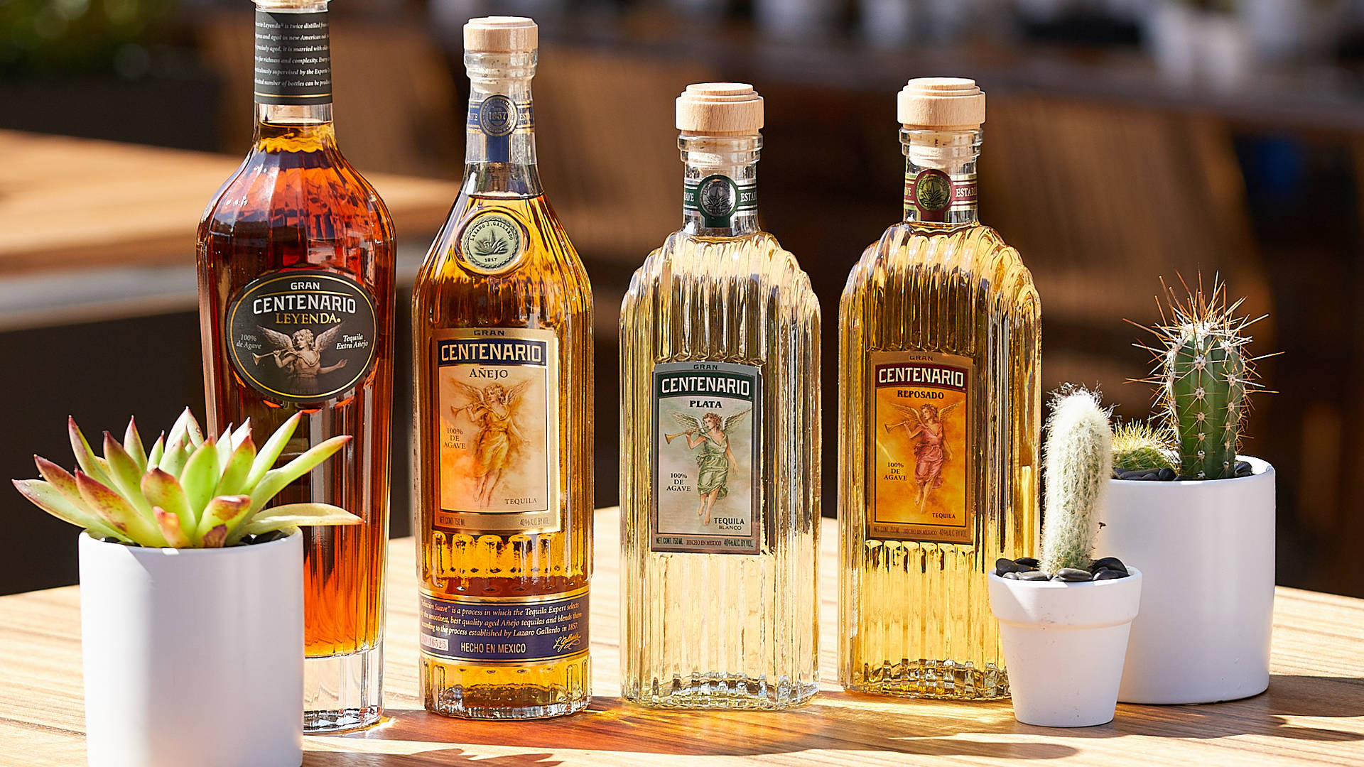 Savory Excellence - Gran Centenario Tequila Collection Background