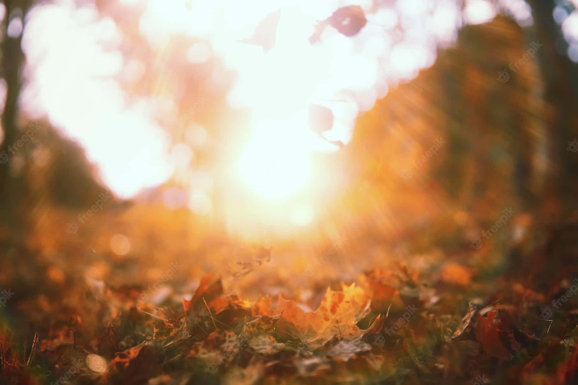 Say Goodbye To Summer With A Sunset Walk On The Beach Background