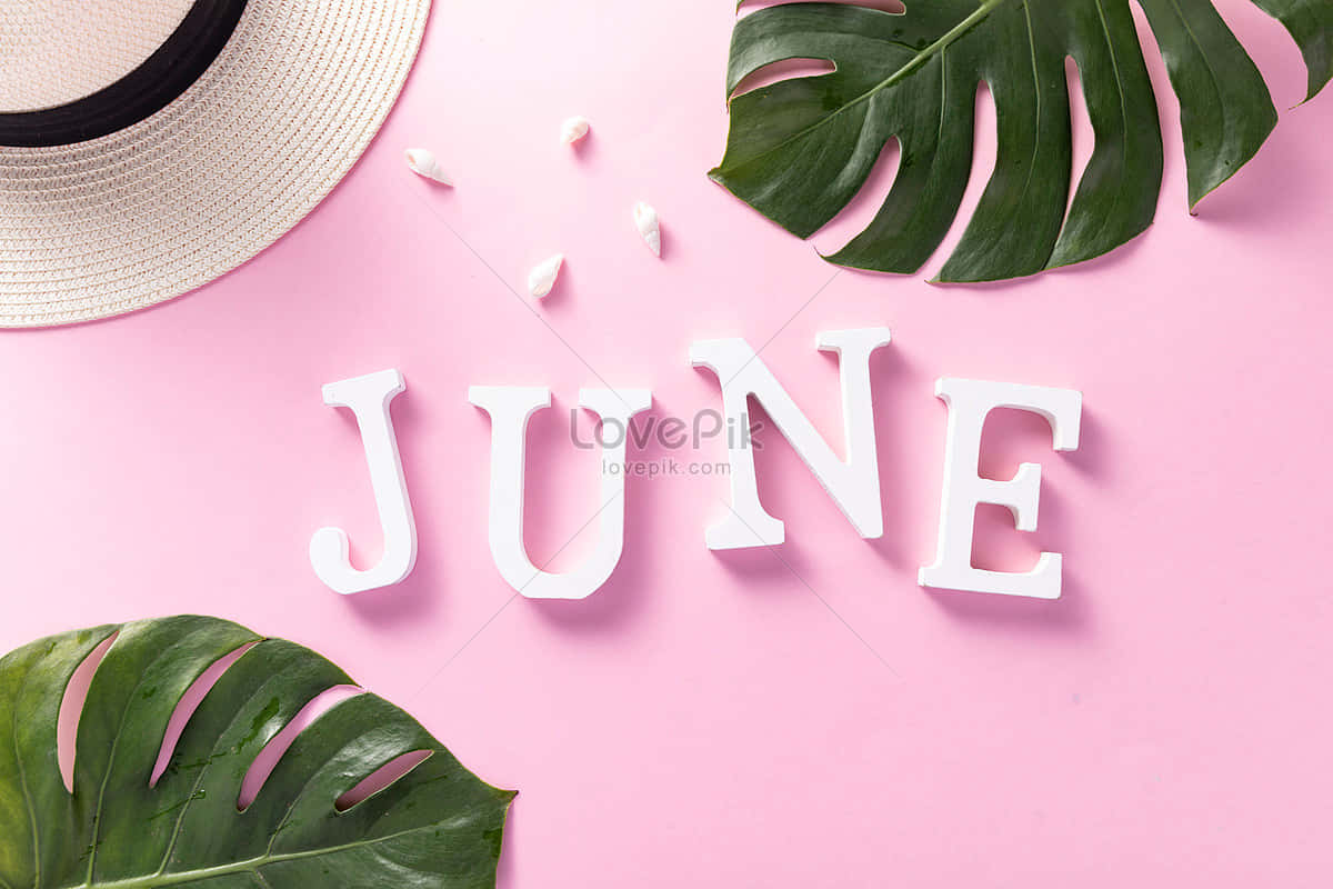 Say Hello To June! Background