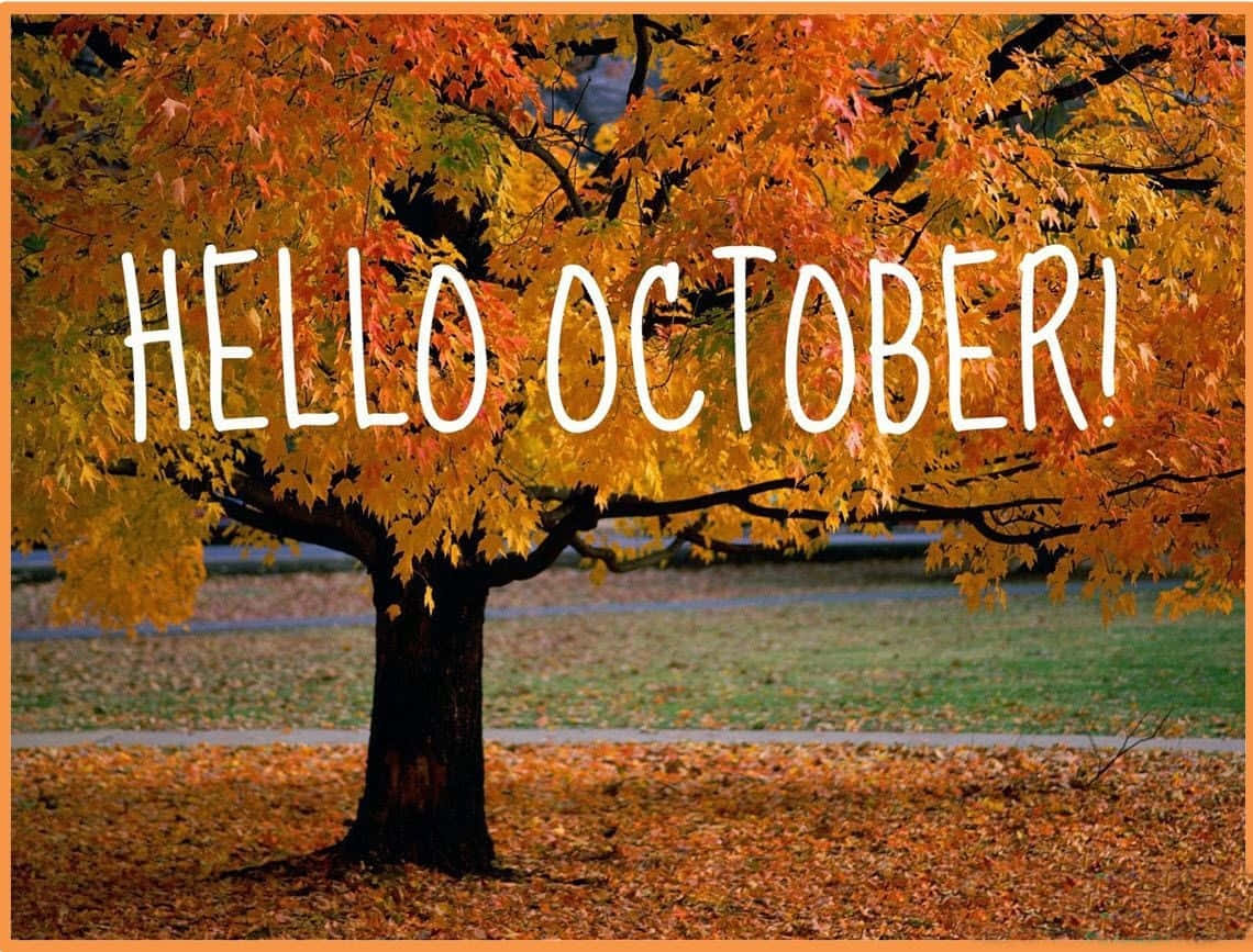 Say 'hello' To October With This Charming Carved Pumpkin! Background