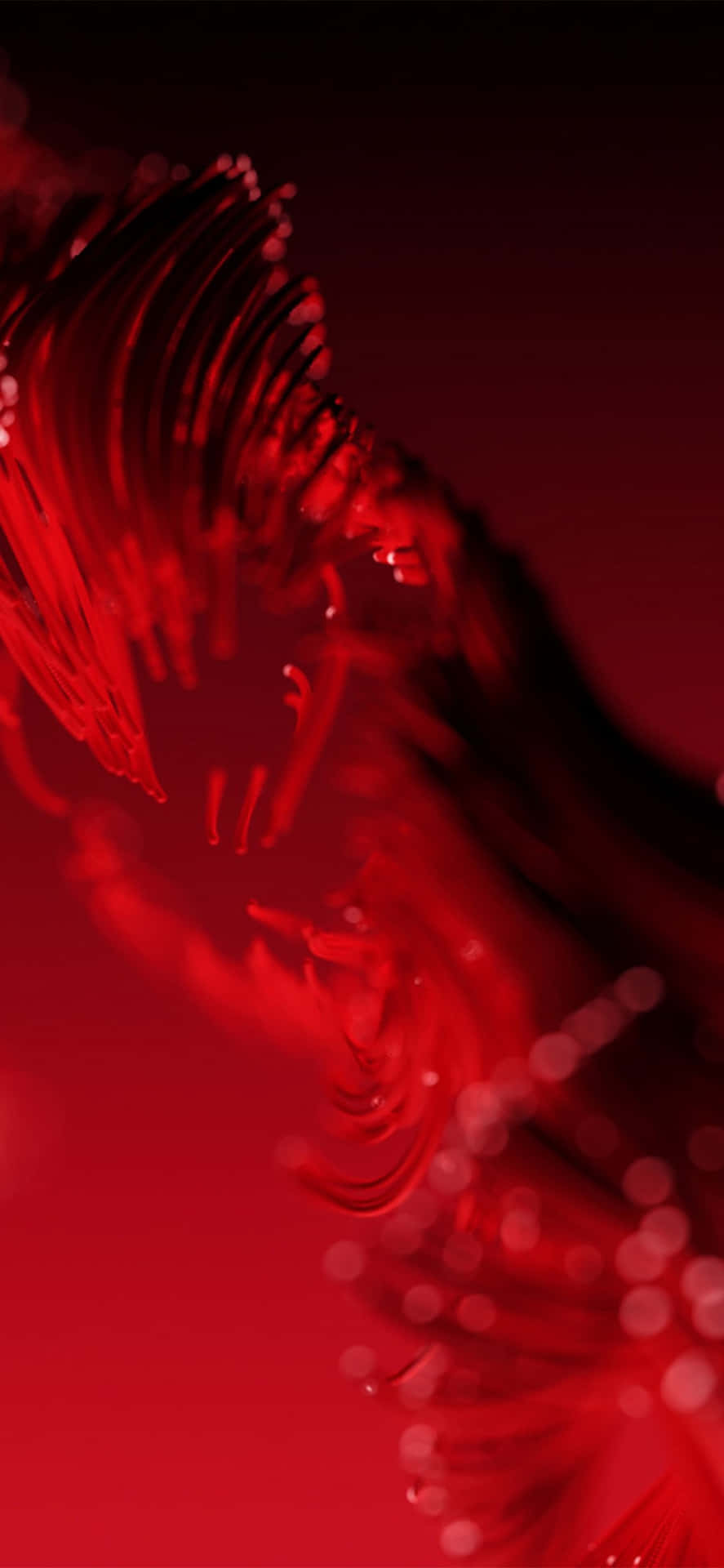 Say Hello To The Red Iphone X Background
